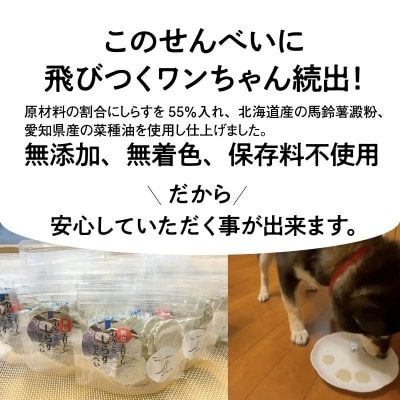 無塩 天日干し わんこのしらすせんべい10袋 ペットフード犬 おやつ ペットおやつ H063-020