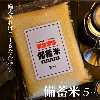 備えあれば“へーきなん”です 備蓄米 5kg 無洗米 真空パック 備蓄食 長期　H056-110