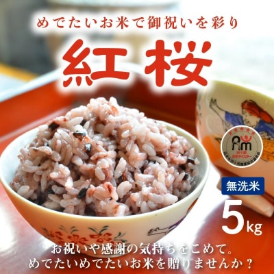 【お米マイスター】めでたいお米で御祝いを彩り “紅桜” 無洗米5kg 黒米 古代米　H056-117