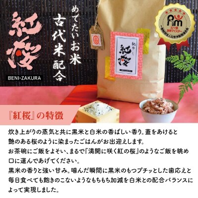 【お米マイスター】めでたいお米で御祝いを彩り “紅桜” 無洗米5kg 黒米 古代米　H056-117