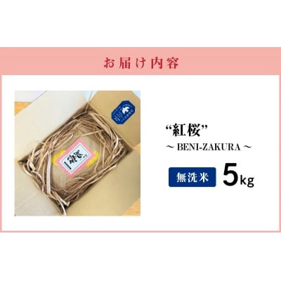【お米マイスター】めでたいお米で御祝いを彩り “紅桜” 無洗米5kg 黒米 古代米　H056-117