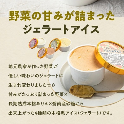 ベジタブルジェラート アイス「ニッコリピースセット」 6個入り　H132-027