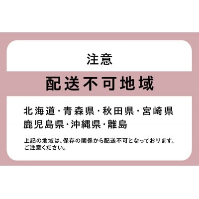 SNS映え!八百屋が厳選したフルーツケーキ缶 6個セット H151-009