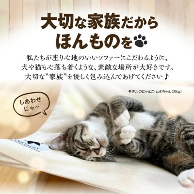 【リアルダウン使用】 ハンモックタイプの 羽毛ペットベッド　H162-042