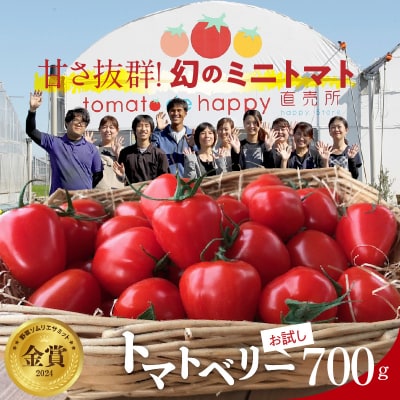 【事前受付】トマト嫌いでも食べられるトマトベリー約700g(1月～4月発送)　 H004-125