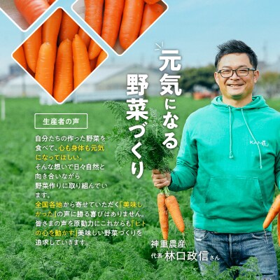 (TVで紹介)こどもも食べられる甘み「マドンナキャロット」 10kg H105-123