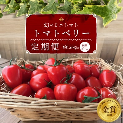 1月～6月毎月発送　甘さ抜群!トマトベリーの定期便　6回コース　H004-134