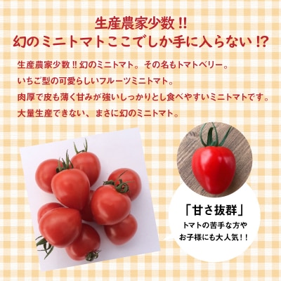 1月～6月毎月発送　甘さ抜群!トマトベリーの定期便　6回コース　H004-134