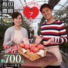 【2026年度事前受付】たった3ヶ月しか食べられない　ファーストトマト 約700g　H004-120