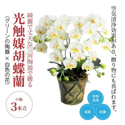 綺麗で丈夫な三河陶器で贈る光触媒胡蝶蘭小輪3本立(グリーンの陶器×白色の花)　H100-088