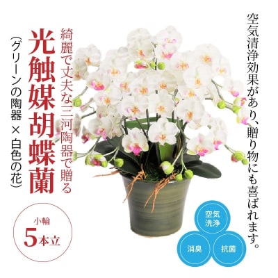 綺麗で丈夫な三河陶器で贈る光触媒胡蝶蘭小輪5本立(グリーンの陶器×白色の花)　H100-090