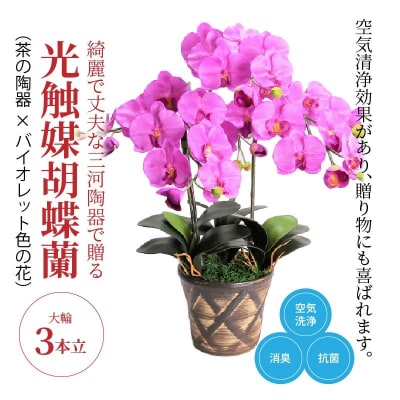 綺麗で丈夫な三河陶器で贈る光触媒胡蝶蘭大輪3本立(茶の陶器×バイオレット色の花)　H100-092