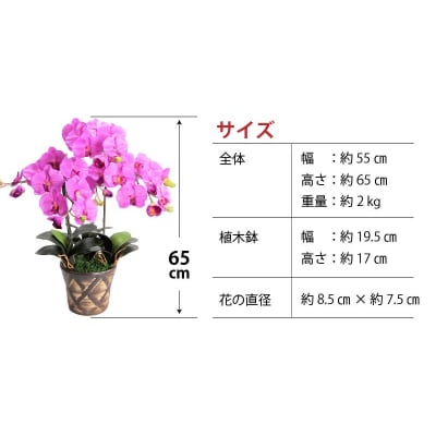 綺麗で丈夫な三河陶器で贈る光触媒胡蝶蘭大輪3本立(茶の陶器×バイオレット色の花)　H100-092