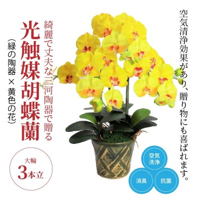 綺麗で丈夫な三河陶器で贈る光触媒胡蝶蘭大輪3本立(緑の陶器×黄色の花)　H100-093