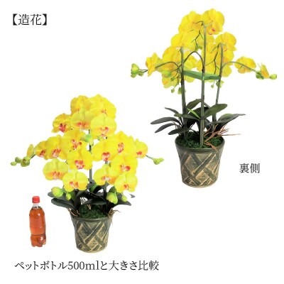 綺麗で丈夫な三河陶器で贈る光触媒胡蝶蘭大輪3本立(緑の陶器×黄色の花)　H100-093