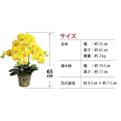 綺麗で丈夫な三河陶器で贈る光触媒胡蝶蘭大輪3本立(緑の陶器×黄色の花)　H100-093