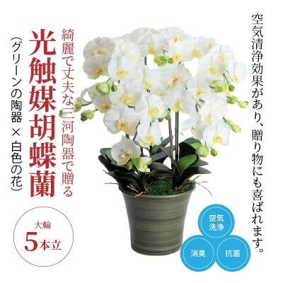 綺麗で丈夫な三河陶器で贈る光触媒胡蝶蘭大輪5本立(グリーンの陶器×白色の花)　H100-094