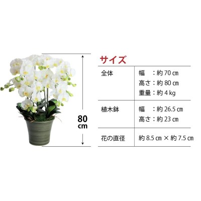綺麗で丈夫な三河陶器で贈る光触媒胡蝶蘭大輪5本立(グリーンの陶器×白色の花)　H100-094