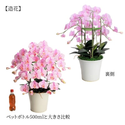 綺麗で丈夫な三河陶器で贈る光触媒胡蝶蘭大輪5本立(白釉薬の陶器×桃色の花)　H100-095