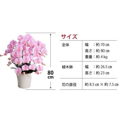 綺麗で丈夫な三河陶器で贈る光触媒胡蝶蘭大輪5本立(白釉薬の陶器×桃色の花)　H100-095
