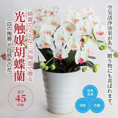 綺麗で丈夫な三河陶器で贈る 光触媒胡蝶蘭小輪3本立(白の陶器×白桃色の花)　H100-083