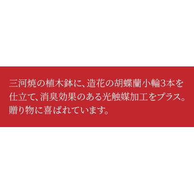 綺麗で丈夫な三河陶器で贈る 光触媒胡蝶蘭小輪3本立(白の陶器×白桃色の花)　H100-083