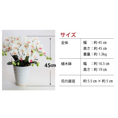 綺麗で丈夫な三河陶器で贈る 光触媒胡蝶蘭小輪3本立(白の陶器×白桃色の花)　H100-083