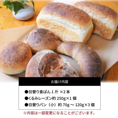 国産小麦・天然酵母　乳卵バター不使用　石窯焼きパンセット　H069-024