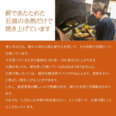 国産小麦・天然酵母　乳卵バター不使用　石窯焼きパンセット　H069-024