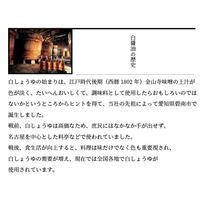 紗羅餐二八生そば・そばつゆセット　H010-013