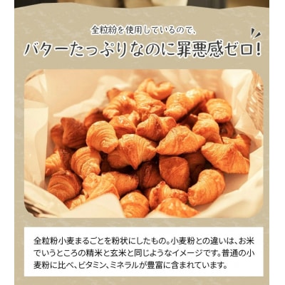 全粒粉ちびクロワッサン　どーんと1kg H087-009