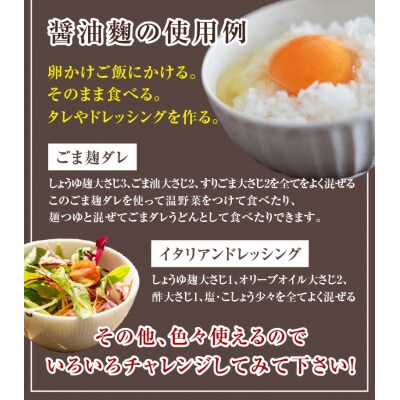 【無添加 生米麹】肥料不使用の自然栽培米のみで作った米麹300g×10袋　H140-034