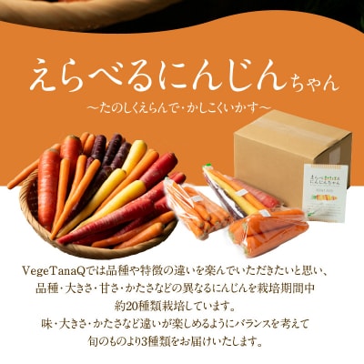 『えらべるにんじんちゃん』 3種類食べ比べセット 2.1kg H116-047
