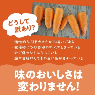 (TVで紹介)【訳あり】こどもも食べられる甘み!「マドンナキャロット」 5kg H105-145
