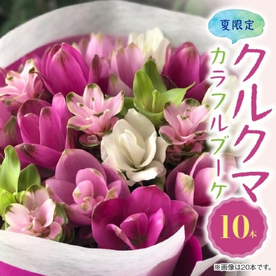 【夏限定】花もち抜群!碧南市産「クルクマ」 カラフルブーケ 10本花束でお届け  H174-001