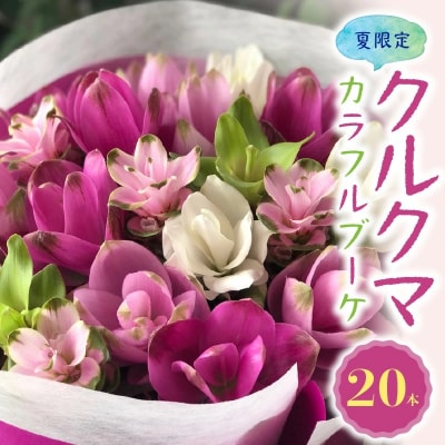 【夏限定】花もち抜群!碧南市産「クルクマ」 カラフルブーケ 20本花束でお届け H174-002