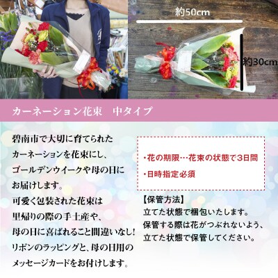 【2025年 母の日】ビタミンカラーのカーネーション花束(サイズ中)生花　 H092-054