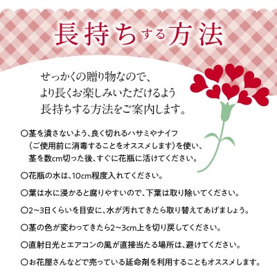 【2025年 母の日】ビタミンカラーのカーネーション花束(サイズ中)生花　 H092-054