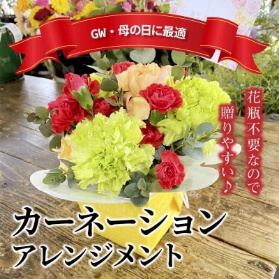 【2025年 母の日】カーネーション アレンジメント　花瓶不要なので贈りやすい♪　H092-046