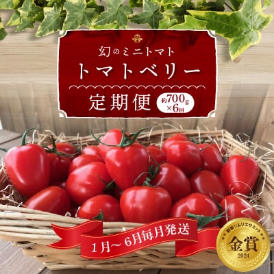 1月～6月毎月発送 　ミニトマト トマトベリーの定期便 約700g×6回コース　H004-169
