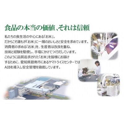 【精米】愛知県産あいちのかおり 200kg(5kg×40袋) H074-669