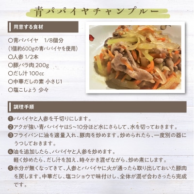 【期間限定】青パパイヤ 約3kg スーパーフード H164-010