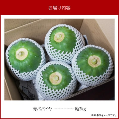 【期間限定】青パパイヤ 約3kg スーパーフード H164-010