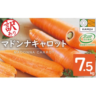 訳あり!こどもも食べられる甘み!「マドンナキャロット」 7.5kg にんじん 野菜　H105-121