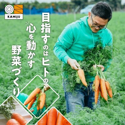 訳あり!こどもも食べられる甘み!「マドンナキャロット」 7.5kg にんじん 野菜　H105-121