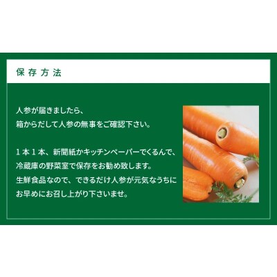 訳あり!こどもも食べられる甘み!「マドンナキャロット」 7.5kg にんじん 野菜　H105-121
