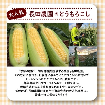 【2026年度事前受付】甘いトウモロコシ&トマトベリー長田農園しかできない夢の共演 H004-160