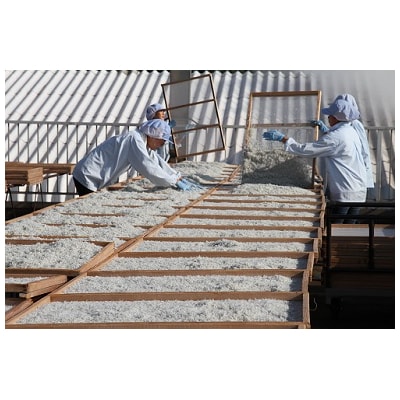 【1年定期便 毎月 全12回】しらす屋のしらす干し630g(70g×9p) H006-094