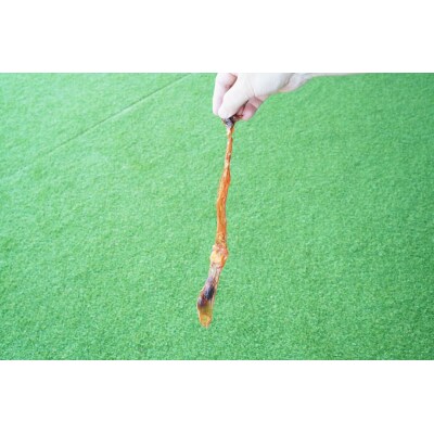 【獣医師手作り】無添加 ペット用 アキレスくんせい (大サイズ) 計300g H191-002