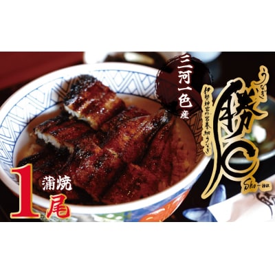 【備長炭で焼く“いい焦がし”】三河一色産うなぎの蒲焼1尾 H189-001